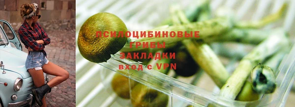 прущий лед Елизово