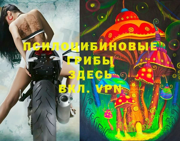 прущий лед Елизово